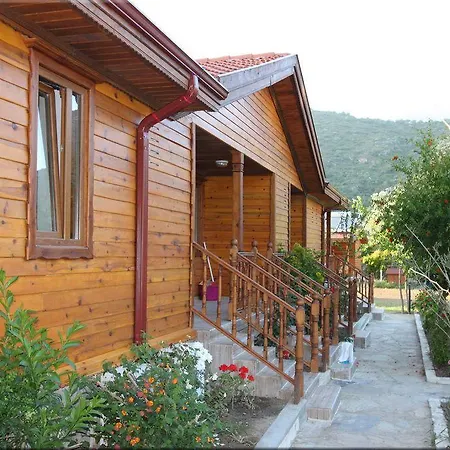 Accommodatie bij particulieren Elly's *