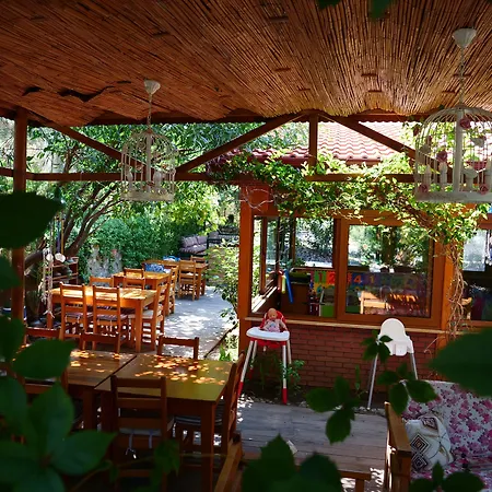 Accommodatie bij particulieren Elly's *