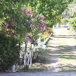Elly's * Mesudiye (Datca)