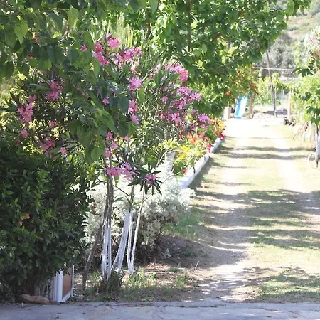 Elly's * Mesudiye (Datca)