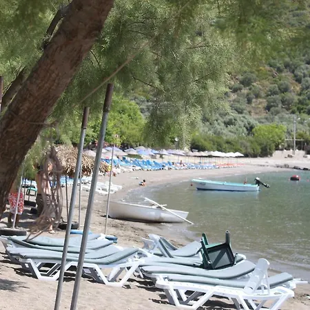 Elly's * 메수디에