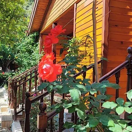 Pansiyon Elly's