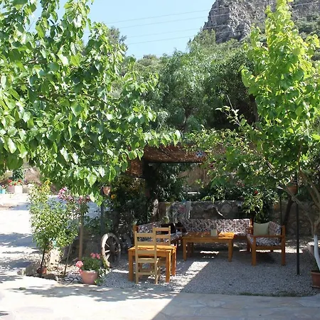 Homestay Elly's *